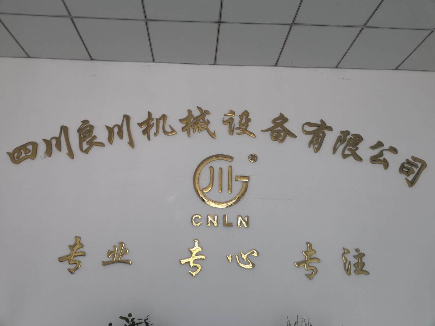 SiChuan Liangchuan Mechanical Equipment Co.,Ltd