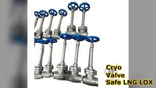 Cryo Globe Valve 5.0Mpa LNG LOX Safe