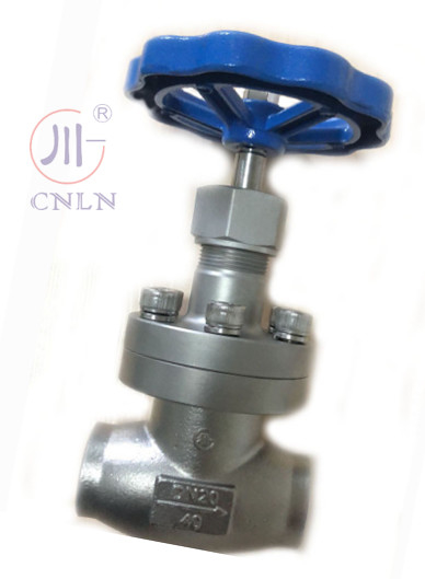 CNLN/Arman DJ61F-40P SS304/316 Κρυογενής βαλβίδα σφαίρας μικρού τύπου A ((DN10-100mm) για συστήματα LNG/LOX/LN2