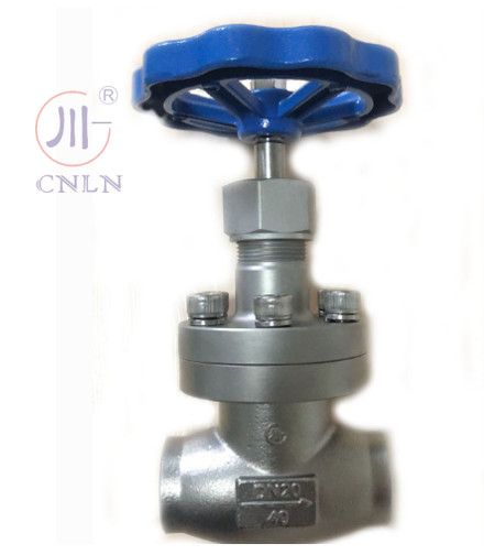 CNLN/Arman DJ61F-40P SS304/316 Κρυογενής βαλβίδα σφαίρας μικρού τύπου A ((DN10-100mm) για συστήματα LNG/LOX/LN2