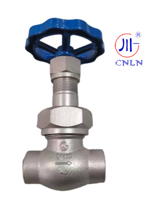 CNLN/Arman DJ61F-40P SS304/316 Κρυογονική βαλβίδα σφαίρας μικρού τύπου C ((DN10-50mm) για συστήματα LNG/LOX/LN2